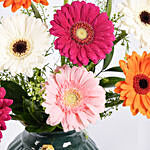 Mixed Color Gerbera In Premium Vase