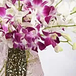 Pink And White Orchids In A Premium Vase