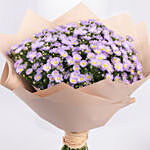 Aster Flowers Bouquet