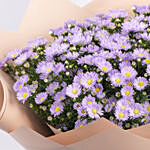 Aster Flowers Bouquet