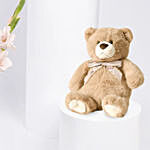 Celebration Combo Flower Teddy N Pinata Chocolate