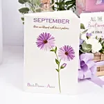 September Birthday Aster Flower Gift Hamper