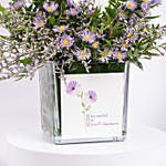 September Birthday Aster Flowers in Vase