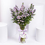 September Birthday Aster Flowers Vase