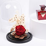 Forever Red Rose With Guess Seductive Red For Women