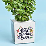 Happy Teachers Day Jade Plant