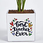 Happy Teachers Day Mini Chamadorea Plant