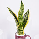 Worlds Best Teacher Snake Plant