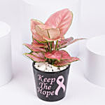 Keep The Hope Pink Ribbon Theme Plant