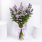 September Birthday Aster Flowers Vase