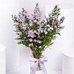 September Birthday Aster Flowers Vase