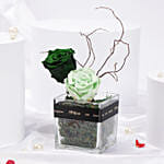 Green Harmony Forever Roses in glass vase