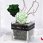 Green Harmony Forever Roses in glass vase