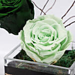 Green Harmony Forever Roses in glass vase