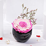 Dual Beauty Large Preserved Rose in Premium Base