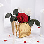 Valentines Red Forever Rose Large  Gold Metal Vase