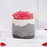 Large Fussia Preserved Rose with Premium Vase