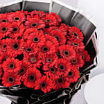 50 Red Gerbera Bouquet