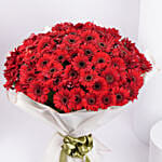 100 Red Gerbera Bouquet