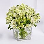 White Alstroemeria 30 In Vase