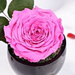 Dark Pink Forever Rose Premium Ceramic Vase