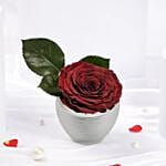 Forever Rose Love Vase