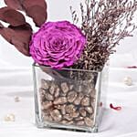 Purple Preserved Rose Vase