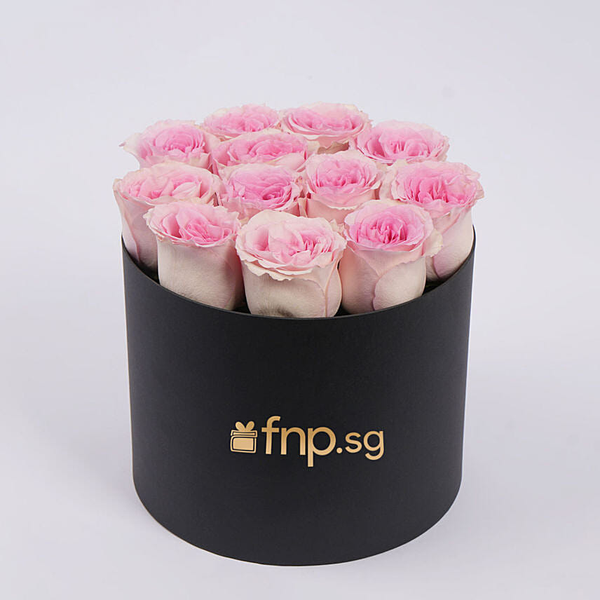 12 Pink Roses in Box