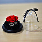 Valentines Day Forever Red Rose in Glass Dome