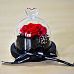 Valentines Day Forever Red Rose in Glass Dome