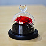 Valentines Day Forever Red Rose in Glass Dome