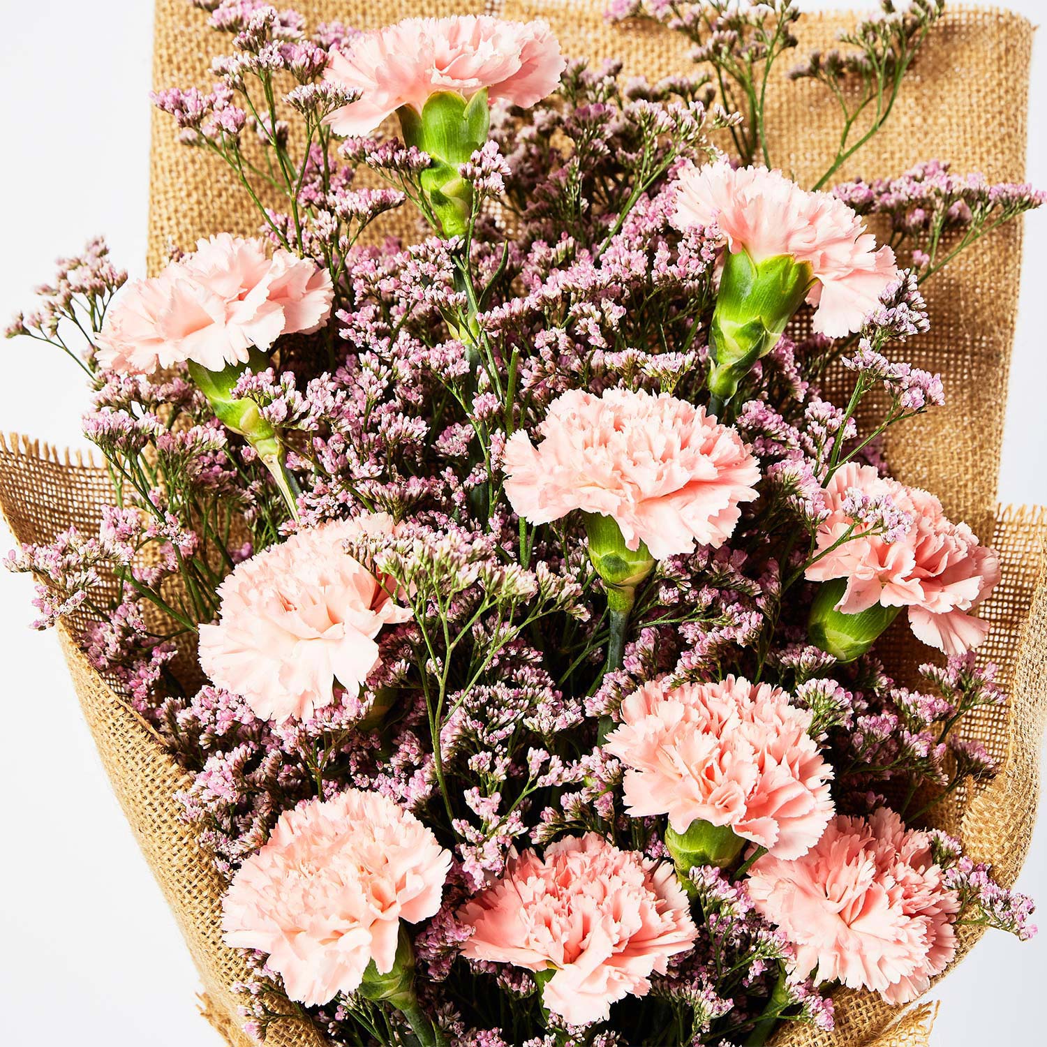 Online Lovely Pink Carnations Bouquet Gift Delivery In Uae Fnp