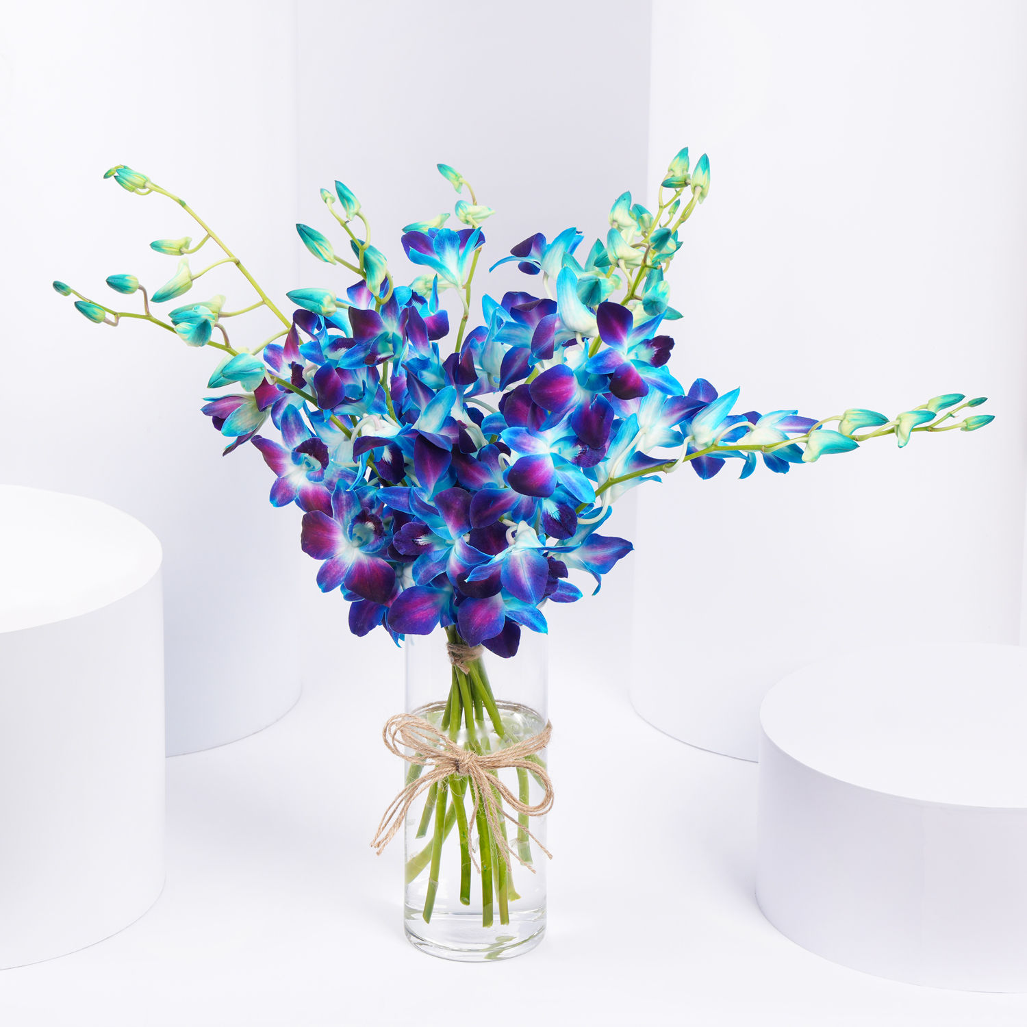 Online Mesmerizing Blue Orchids Gift Delivery in UAE - FNP