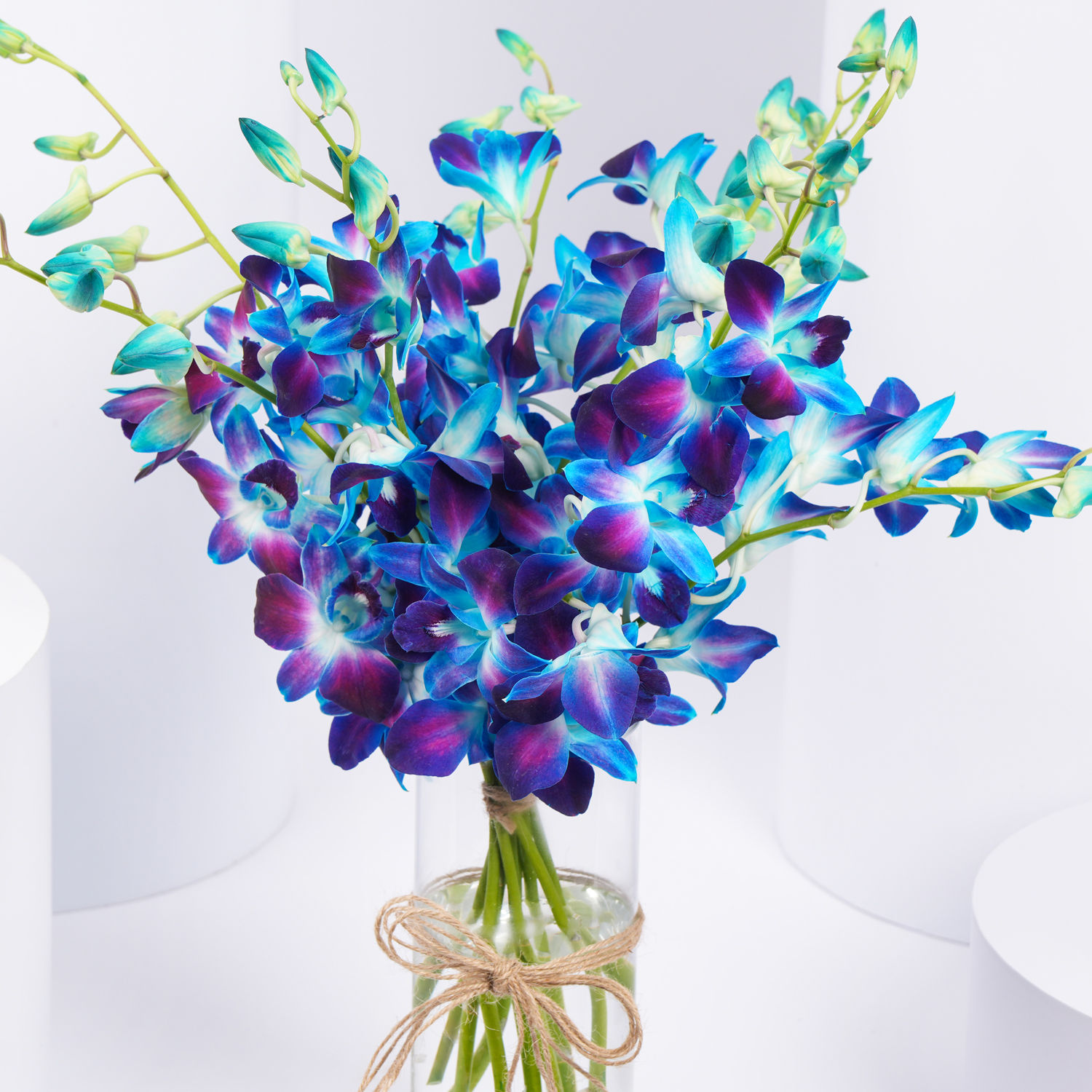 Online Mesmerizing Blue Orchids Gift Delivery in UAE - FNP